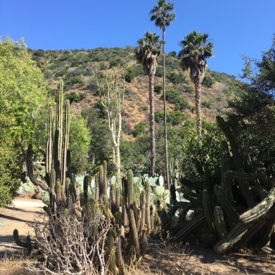 Catalina Botanical Garden
